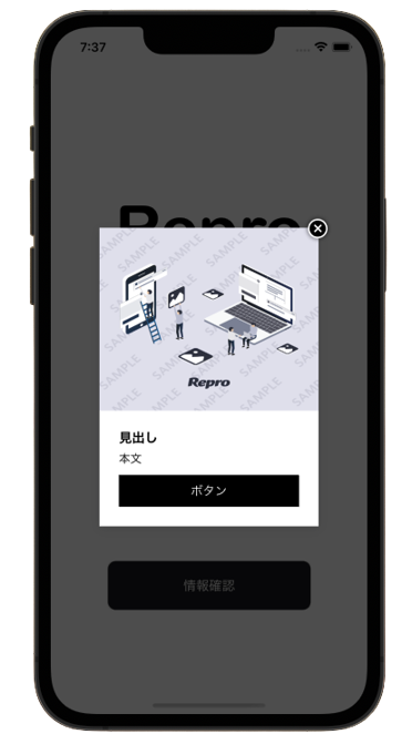 image1_htmlinapp.png